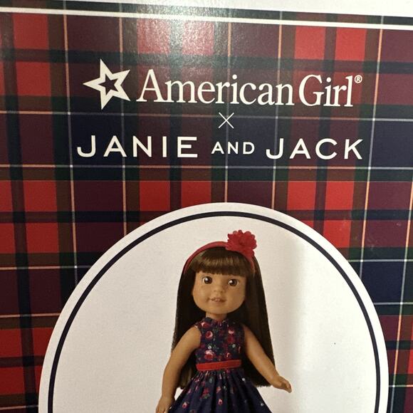 American Girl x Janie And Jack~ Wrapped In Roses Party Dress For Welliewishers - Picture 4 of 8